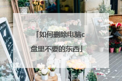 如何删除电脑c盘里不要的东西