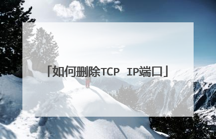 如何删除TCP IP端口