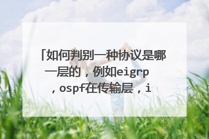 如何判别一种协议是哪一层的，例如eigrp，ospf在传输层，icmp在网络层，，arp在数据链路层。