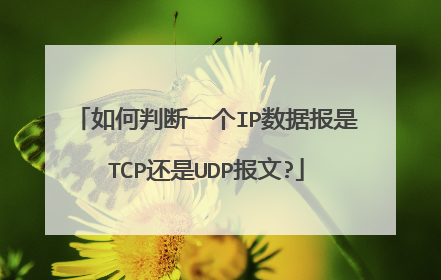 如何判断一个IP数据报是TCP还是UDP报文?