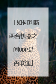如何判断两台机器之间UDP是否联通