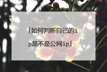 如何判断自己的ip是不是公网ip