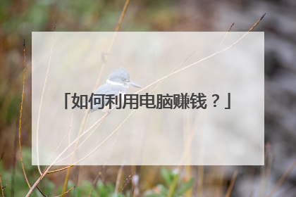 如何利用电脑赚钱？