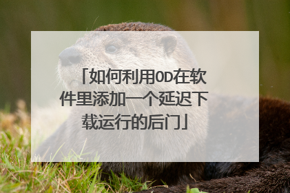 如何利用OD在软件里添加一个延迟下载运行的后门