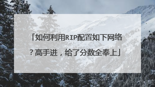 如何利用RIP配置如下网络？高手进，给了分数全奉上