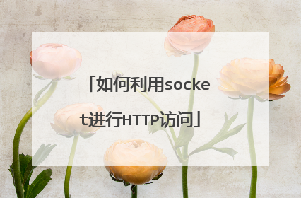 如何利用socket进行HTTP访问