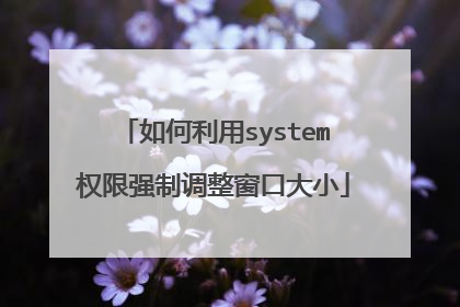 如何利用system权限强制调整窗口大小