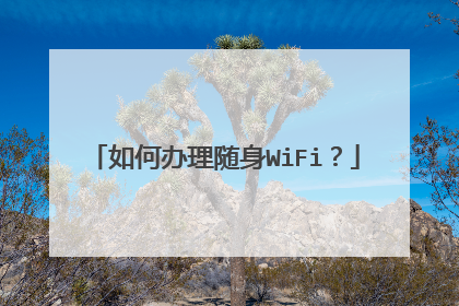 如何办理随身WiFi？