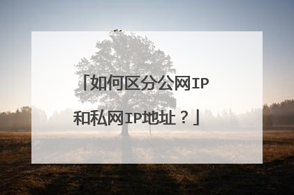 如何区分公网IP和私网IP地址？