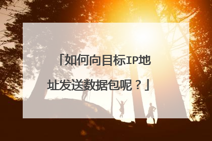 如何向目标IP地址发送数据包呢?