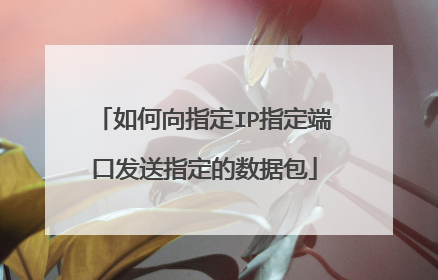 如何向指定IP指定端口发送指定的数据包