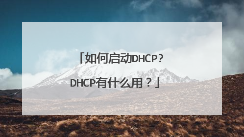 如何启动DHCP?DHCP有什么用?