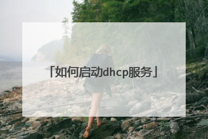 如何启动dhcp服务