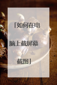 如何在电脑上截屏幕截图