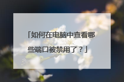 如何在电脑中查看哪些端口被禁用了？