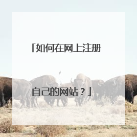 如何在网上注册自己的网站?