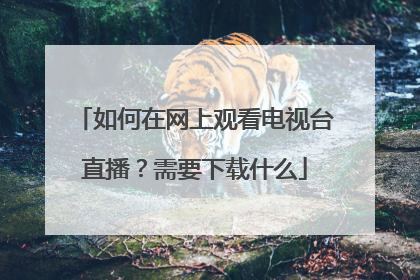 如何在网上观看电视台直播？需要下载什么