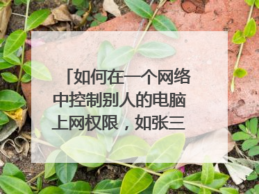 如何在一个网络中控制别人的电脑上网权限,如张三只能上百度其他的网站不行,而李四可以