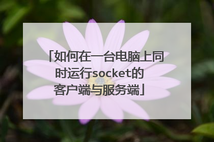 如何在一台电脑上同时运行socket的客户端与服务端