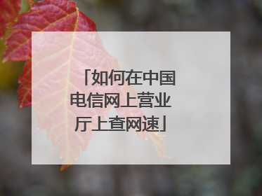 如何在中国电信网上营业厅上查网速