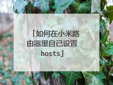 如何在小米路由器里自己设置hosts