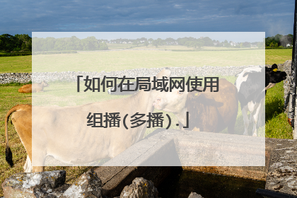 如何在局域网使用组播(多播).