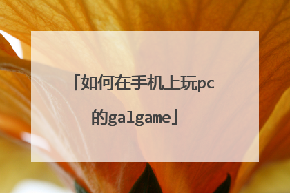 如何在手机上玩pc的galgame