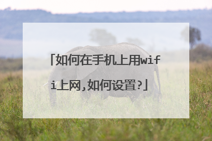如何在手机上用wifi上网,如何设置?