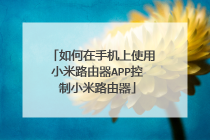 如何在手机上使用小米路由器APP控制小米路由器