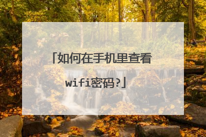 如何在手机里查看wifi密码?