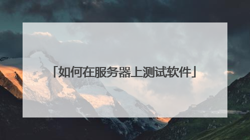 如何在服务器上测试软件