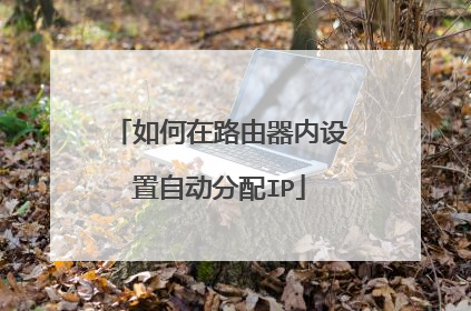 如何在路由器内设置自动分配IP
