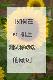 如何在 PC 机上测试移动端的网页
