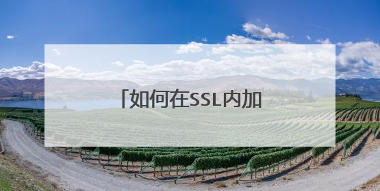 如何在SSL内加密任意TCP连接