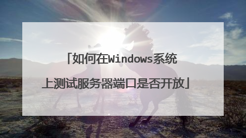 如何在Windows系统上测试服务器端口是否开放