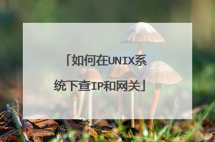 如何在UNIX系统下查IP和网关