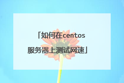 如何在centos服务器上测试网速