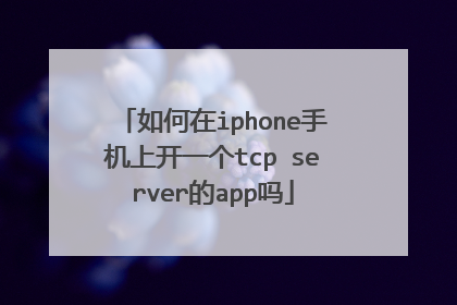 如何在iphone手机上开一个tcp server的app吗