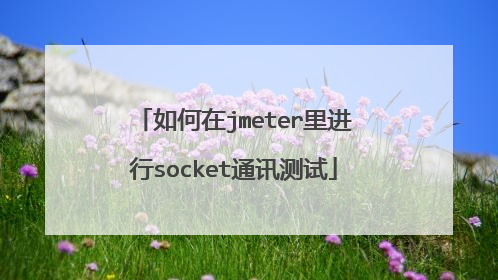 如何在jmeter里进行socket通讯测试