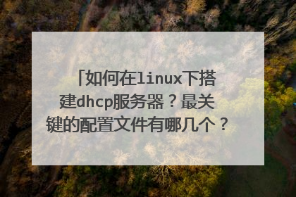 如何在linux下搭建dhcp服务器？最关键的配置文件有哪几个？分别有什么用？一般在linux下搭