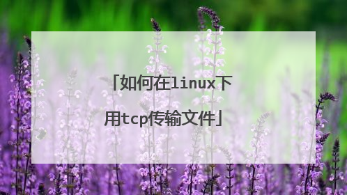 如何在linux下用tcp传输文件