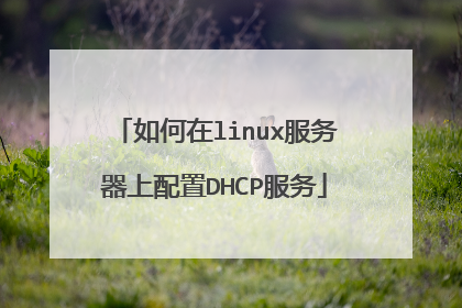 如何在linux服务器上配置DHCP服务