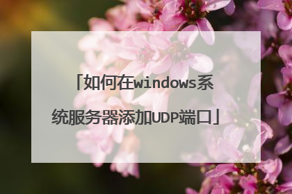 如何在windows系统服务器添加UDP端口