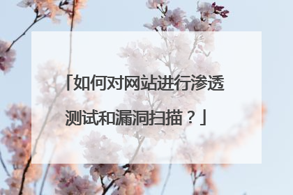 如何对网站进行渗透测试和漏洞扫描？