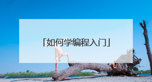 如何学编程入门