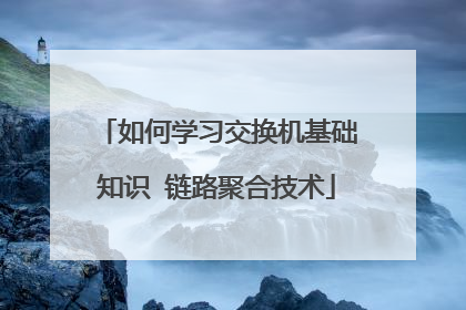 如何学习交换机基础知识 链路聚合技术
