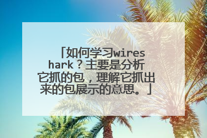 如何学习wireshark？主要是分析它抓的包，理解它抓出来的包展示的意思。
