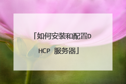 如何安装和配置DHCP 服务器