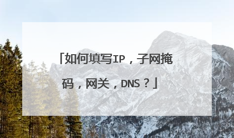 如何填写IP,子网掩码,网关,DNS?