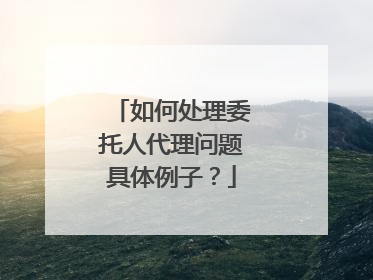 如何处理委托人代理问题具体例子?